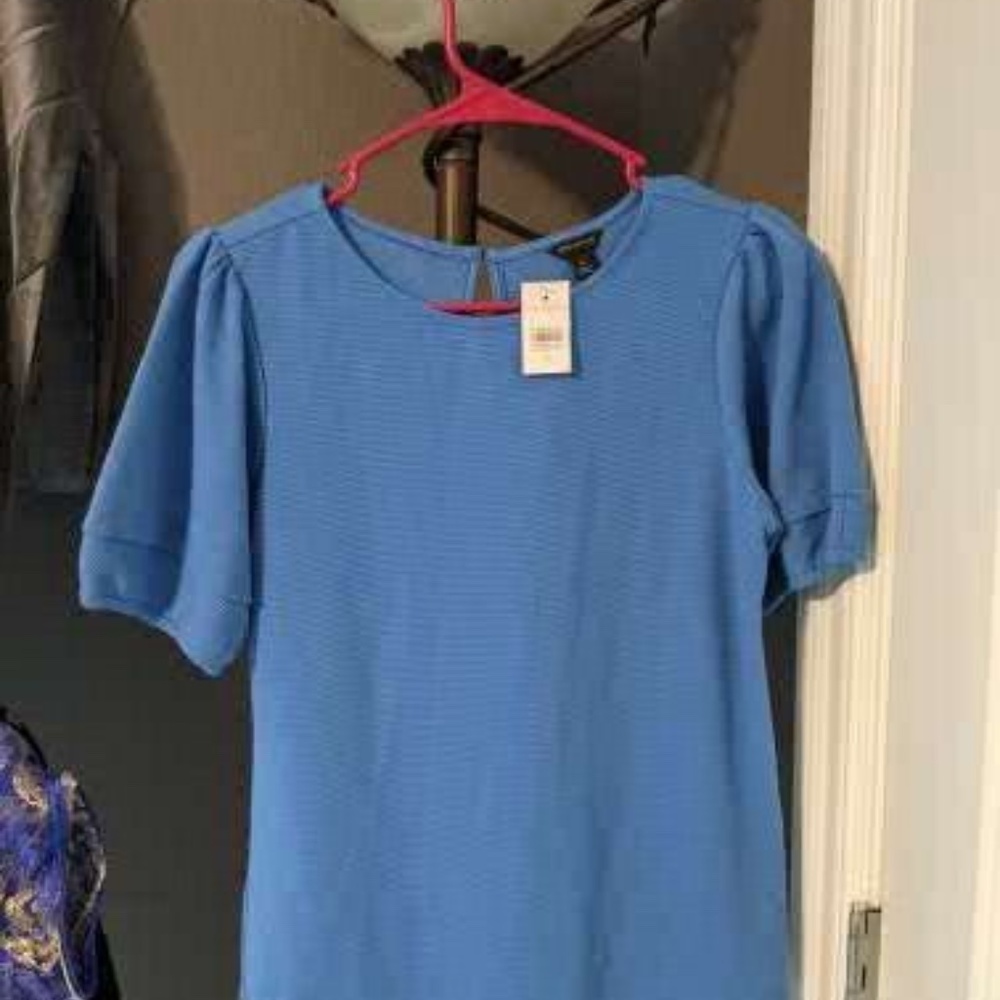 Ann Taylor Short Sleeve